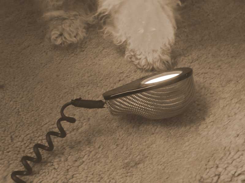 „Airnergy Stream Therapie bei Hund – regenerativer Sauerstoff zur Schmerzlinderung und Zellregeneration“