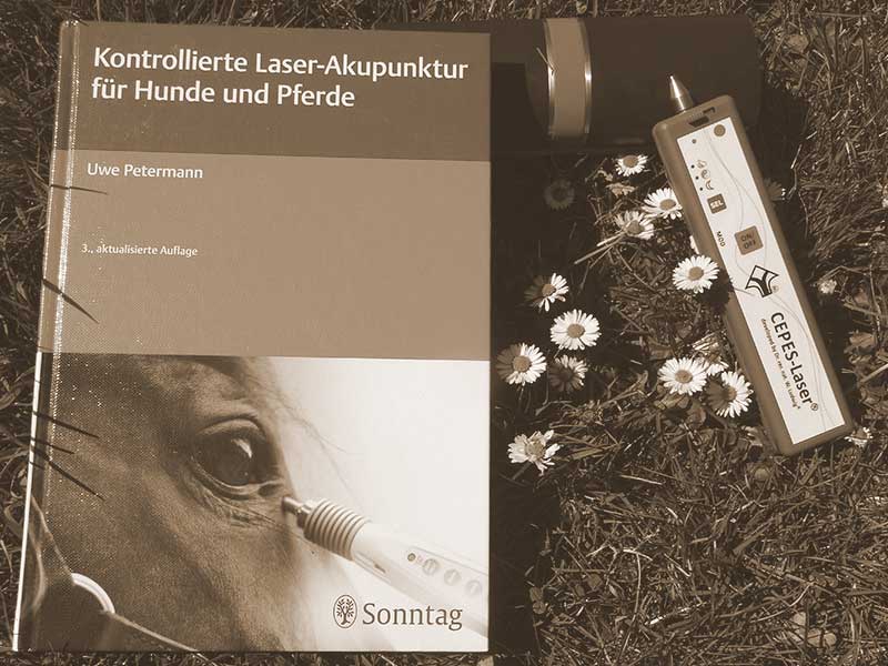 Laserakupunktur für Tiere mit dem CEPES-Laser® – schmerzfreie Behandlung bei Muskel- und Sehnenproblemen